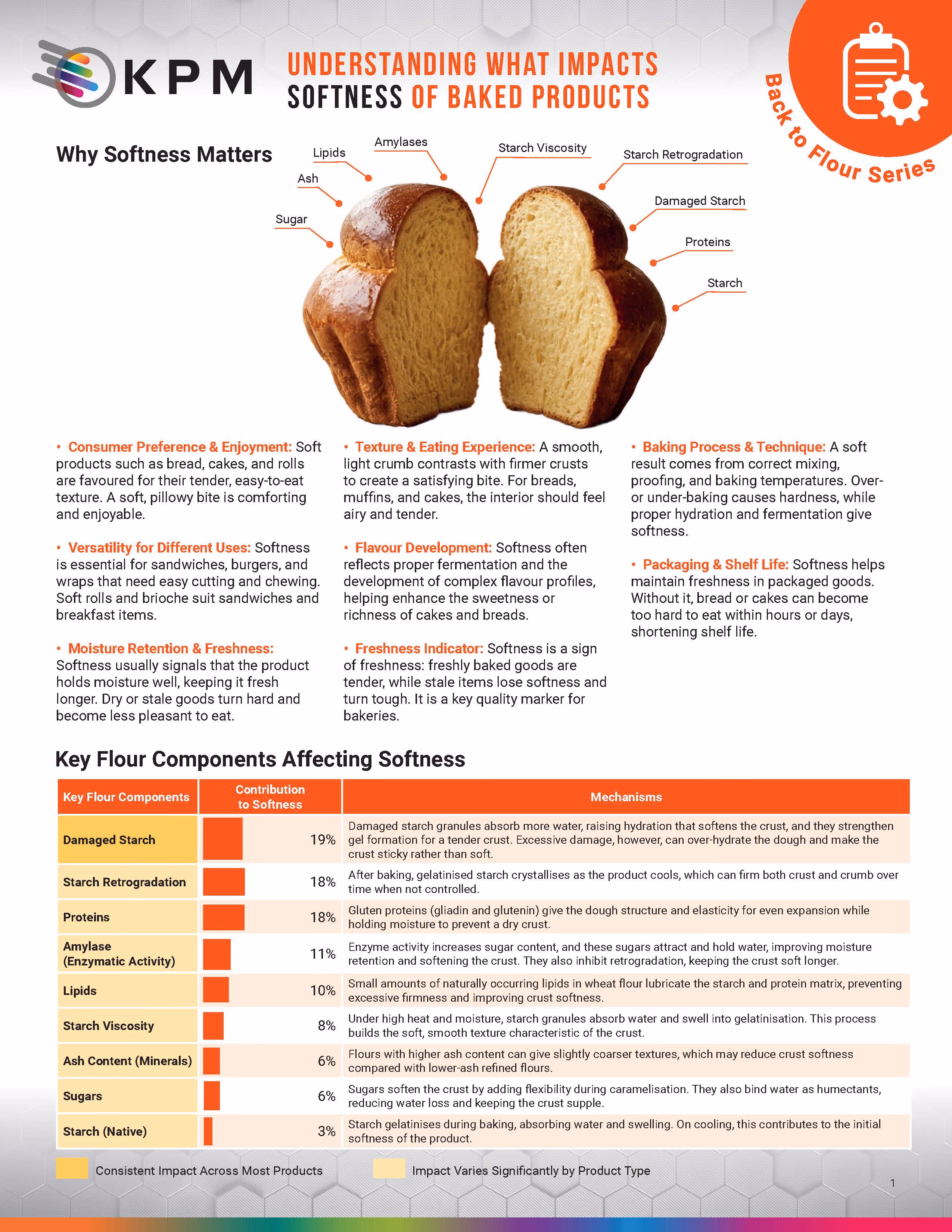 Back to Flour: Understanding What Impacts Softness of Baked Products
