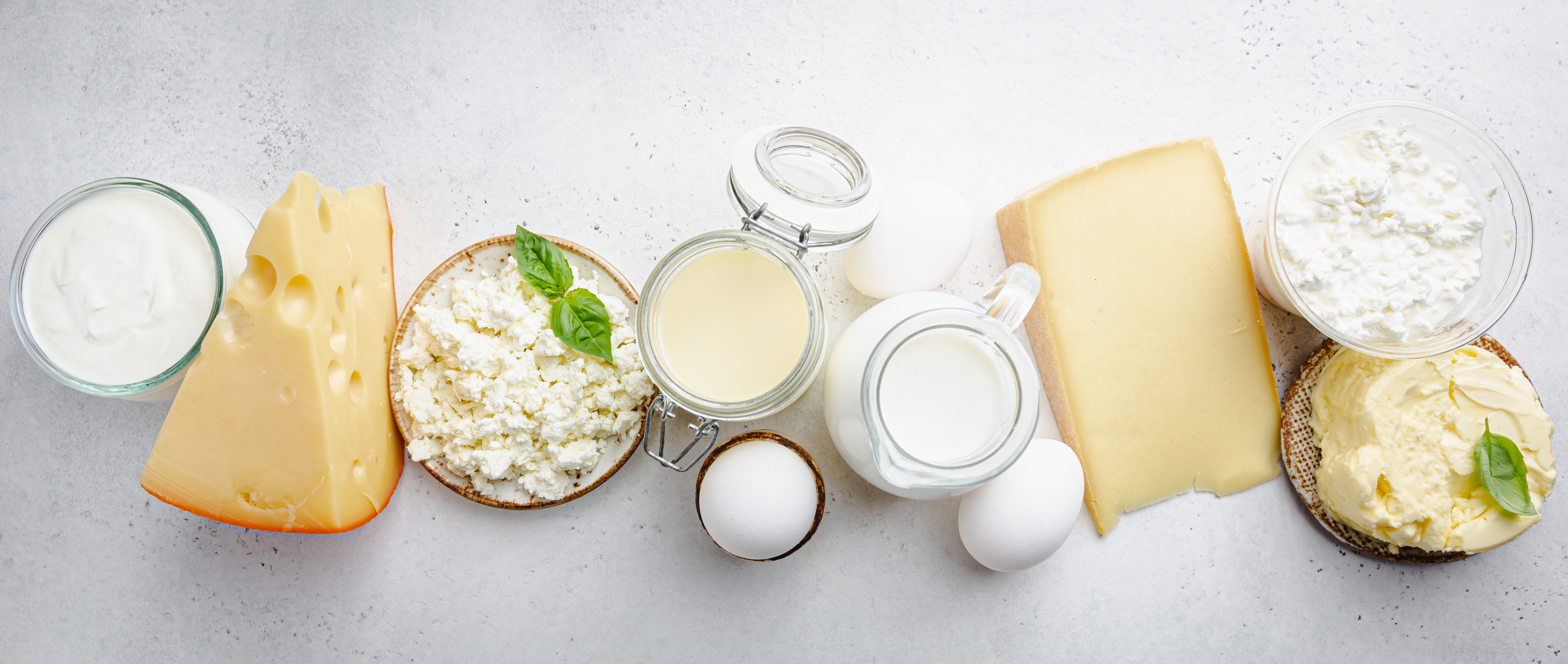 A picture of a compilation of dairy products that can be analyzed by the KPM SpectraStar XT NIR Analyzer