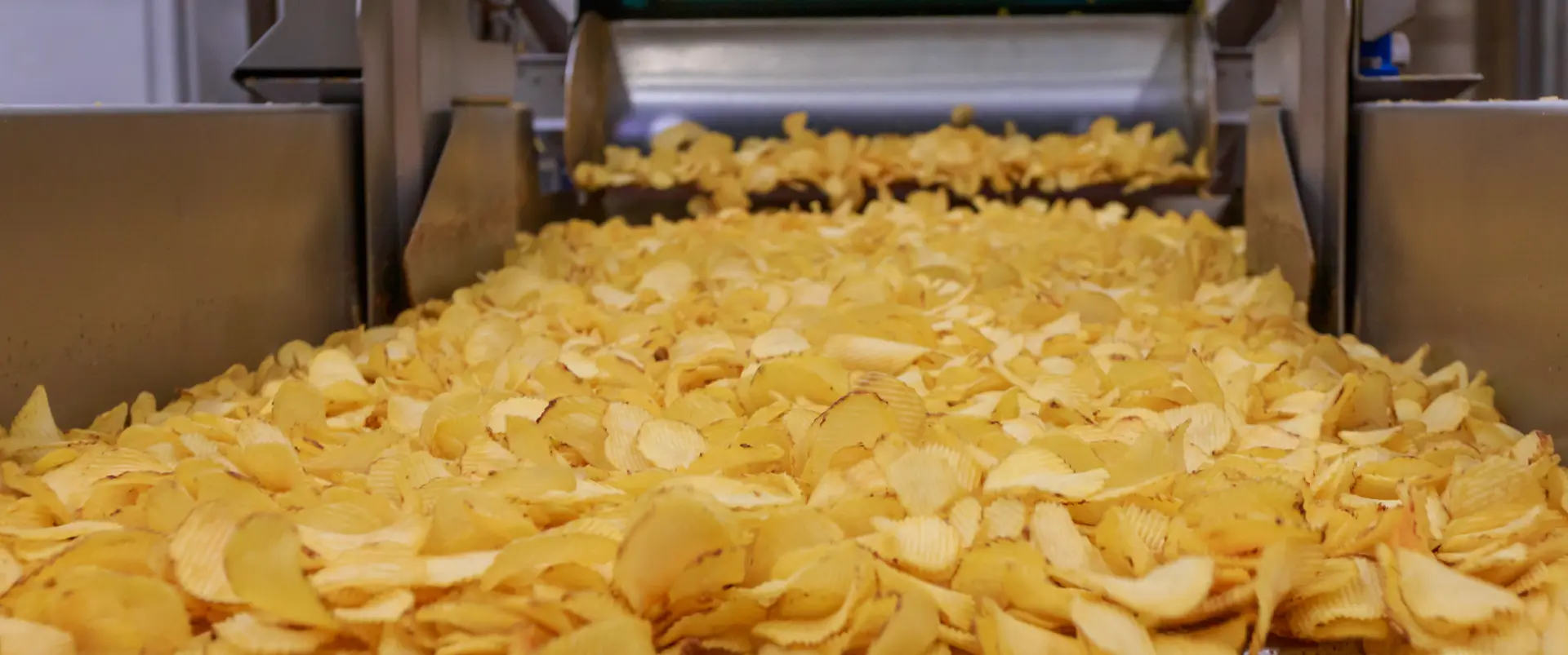 Potato chips exiting the fryer in a production environment which can be analyzed by the KPM MCT790 In-Line Food-Grade Moisture, Oil/Fat, and Color Sensor