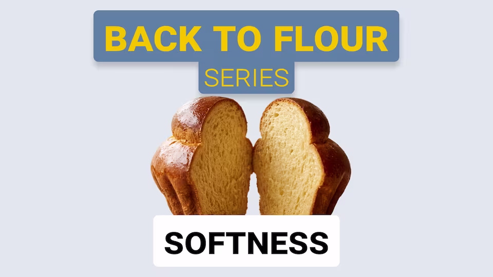 Softness in Baked Products: How Flour Keeps Products Tender Over Time