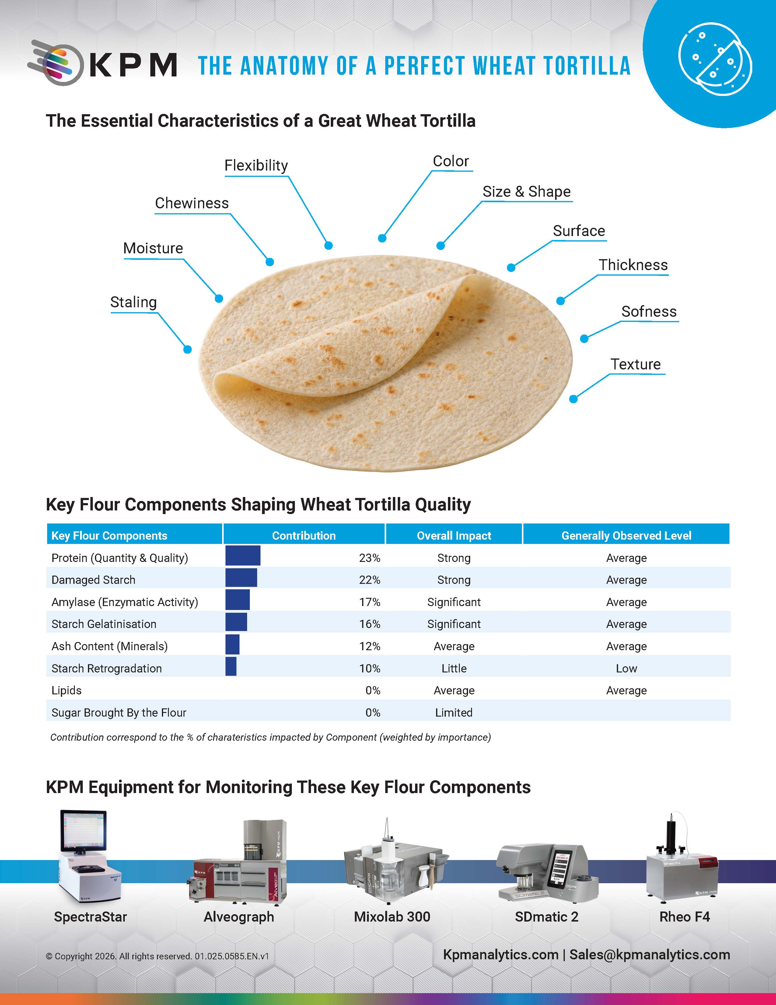 Back to Flour: The Anatomy of a Perfect Wheat Tortilla