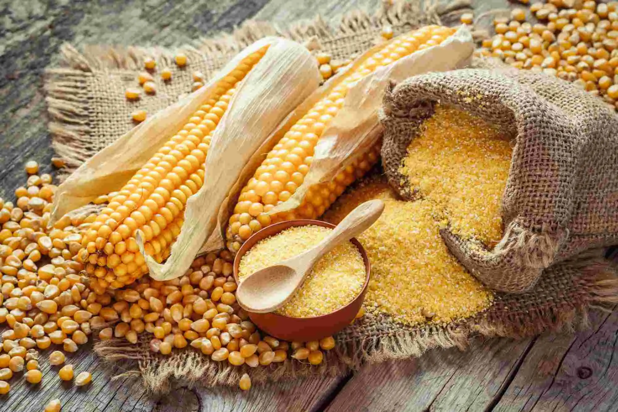 Corn Products