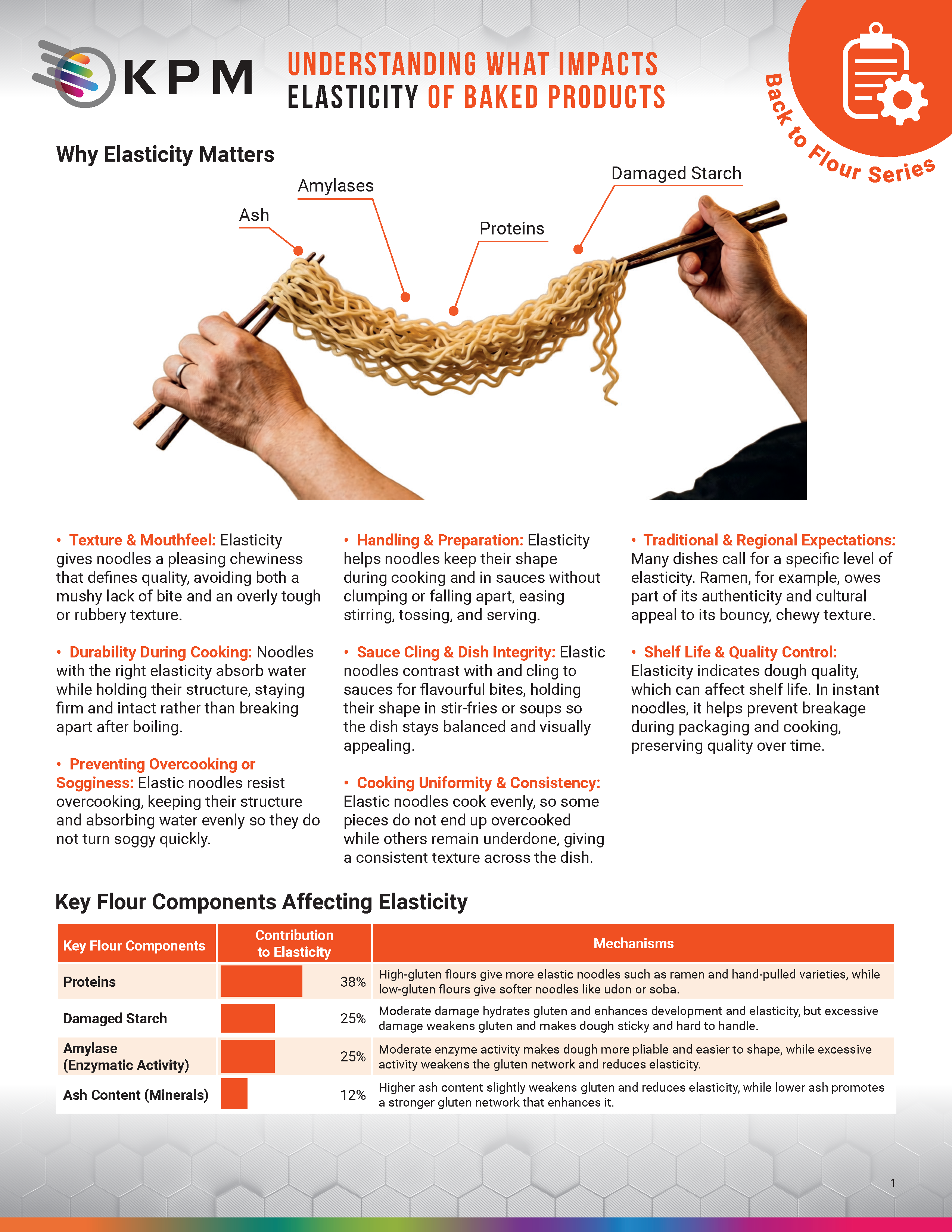 Back to Flour: Understanding What Impacts Elasticity of Noodles