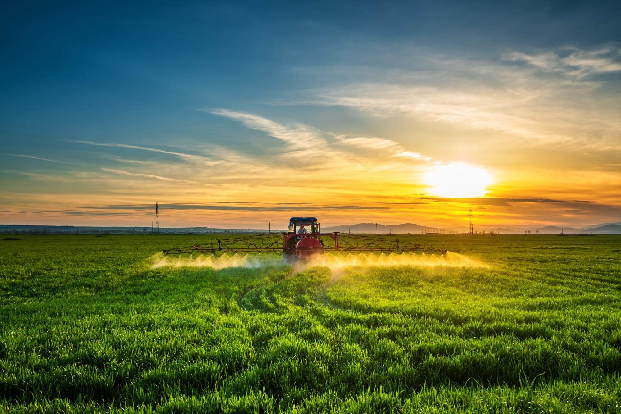 KPM Analytics Sunset Farming