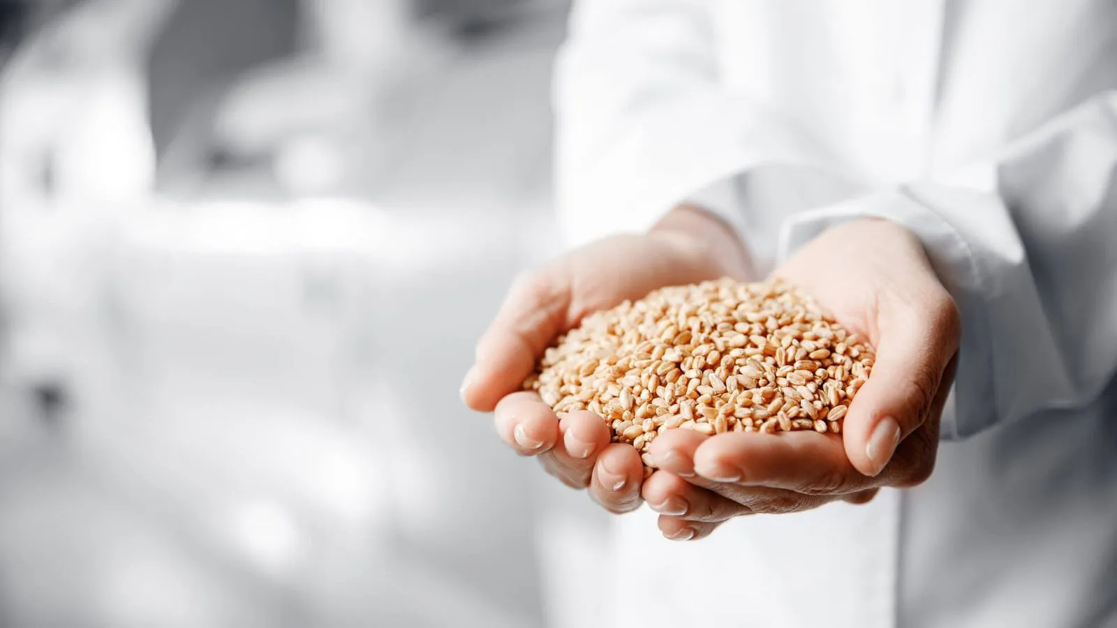 Inspección visual en la producción de galletas | Industry Publications