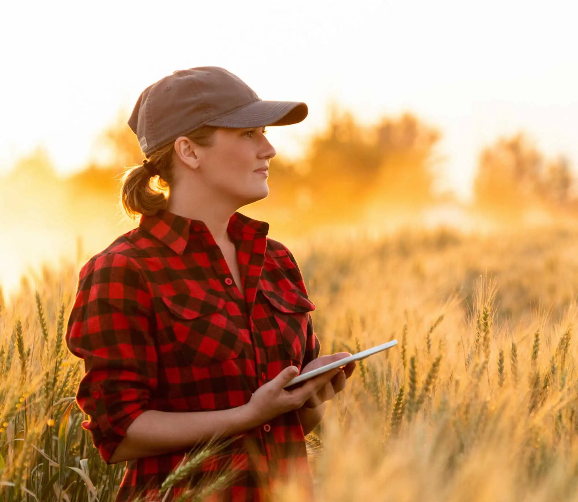 Farmer in Field with Tablet