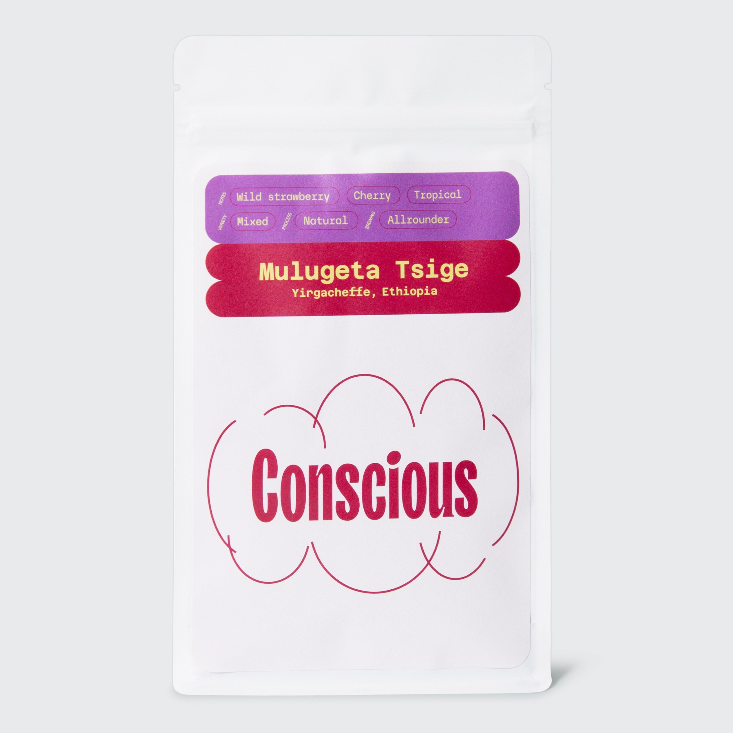 Mulugeta Tsige