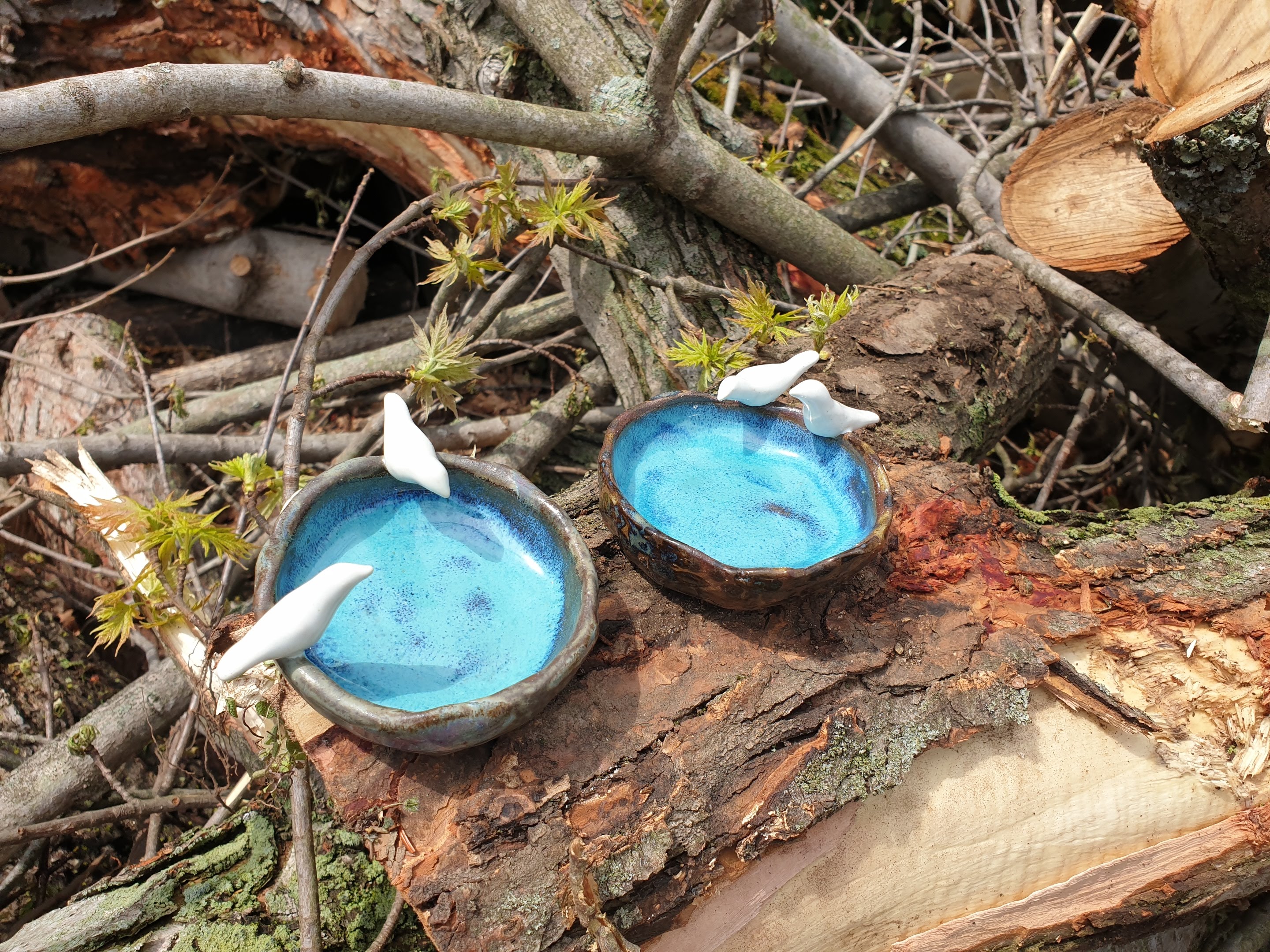 Photo of 2 small ceramic dishes I made, with little white birds perched on the rims. They resemble birds perched by a pond.