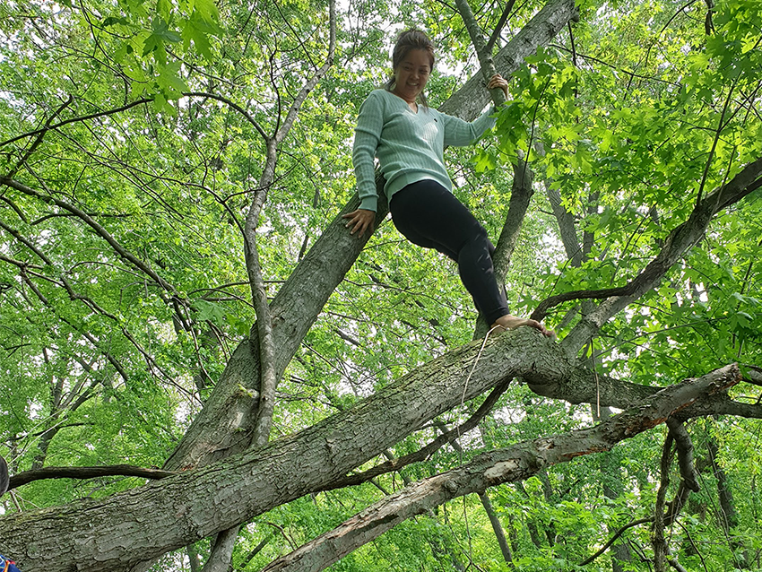 The childlike fun of climbing trees. A photo of me up in a tree I have climbed. 