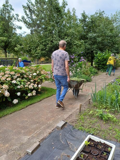Tuin met zonnenbloemen