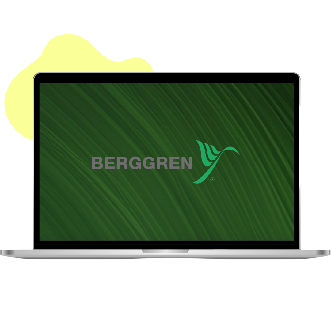 Berggren case simplified solutions