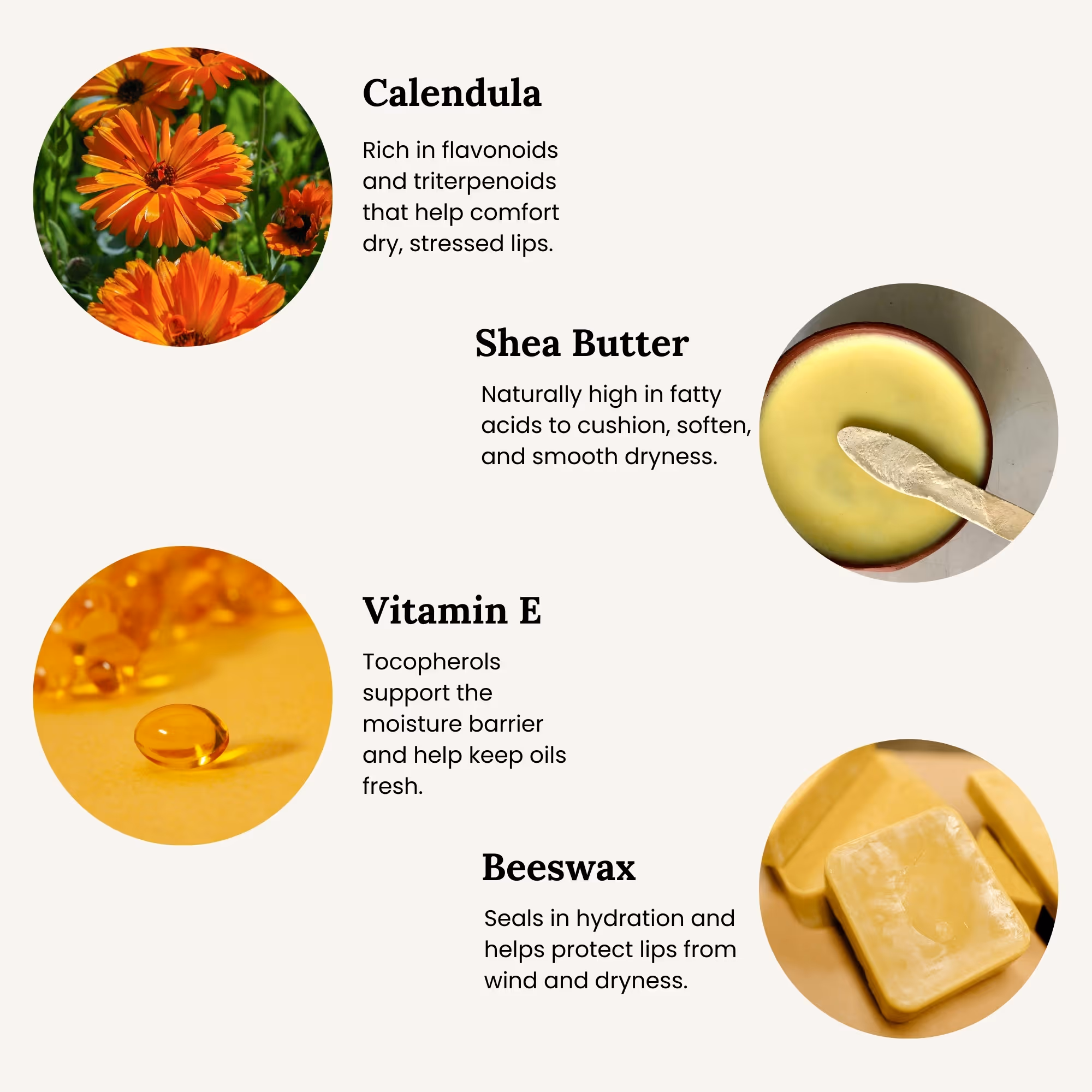 All Tree Roots Calendula Lip Balm key ingredients including calendula flowers, shea butter, vitamin E, and beeswax to nourish dry, chapped lips