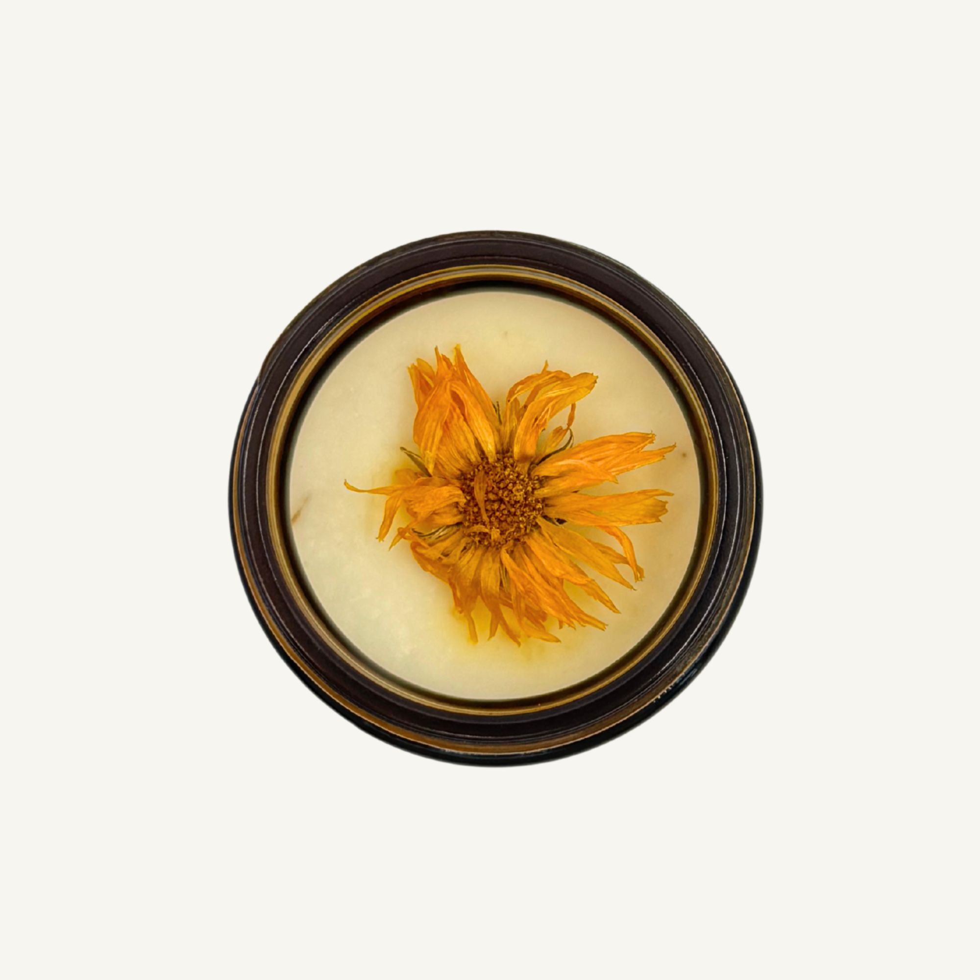 Top-down view of All Tree Roots 2 oz Calendula Salve in an amber glass jar, featuring organic calendula petals set in a creamy herbal balm on a neutral background.