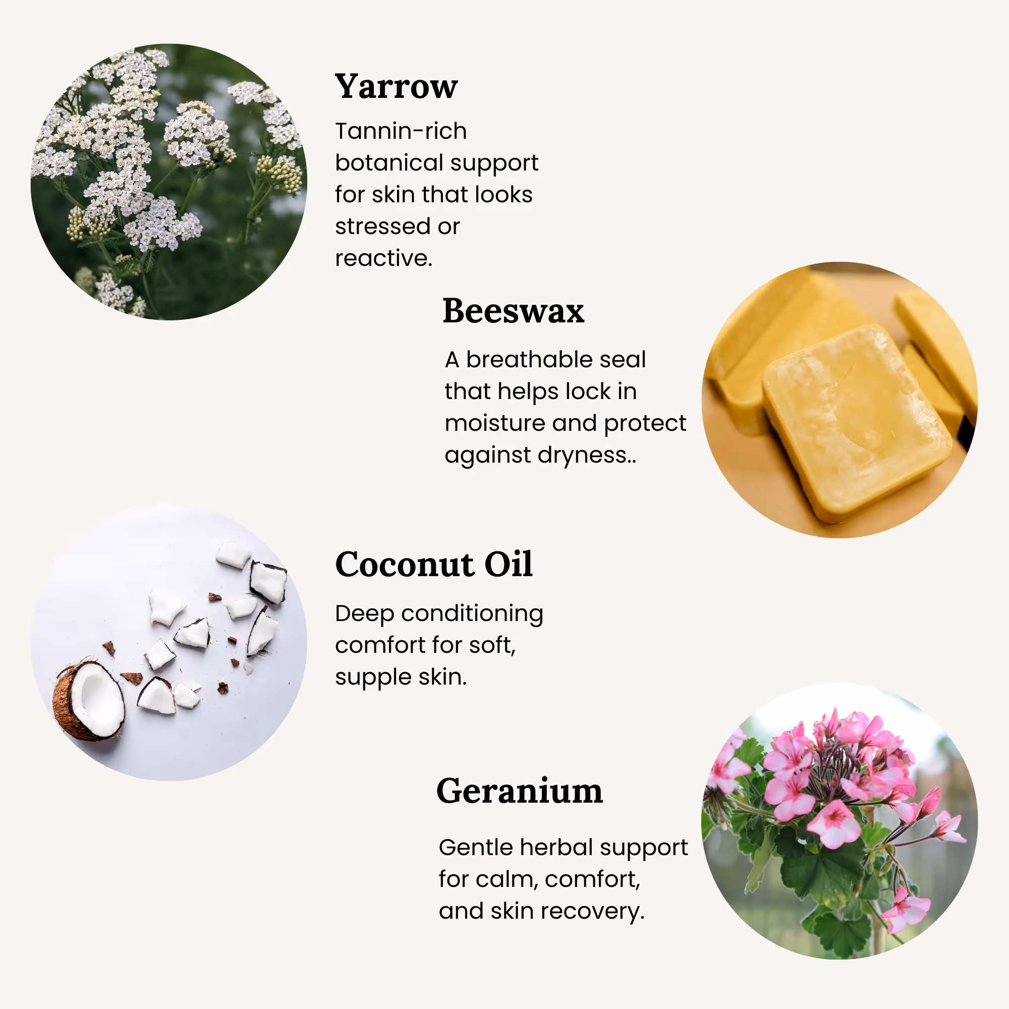 Key ingredients in All Tree Roots Yarrow Salve including yarrow, beeswax, coconut oil, and geranium.