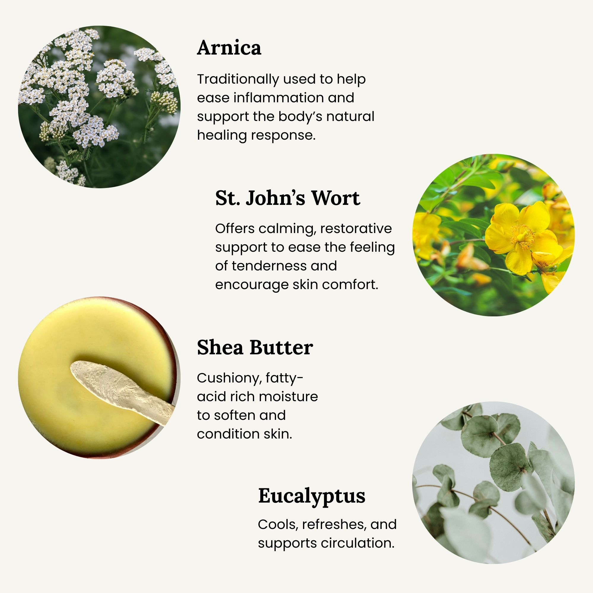 All Tree Roots Yarrow Salve key botanicals: yarrow, beeswax, coconut oil, geranium