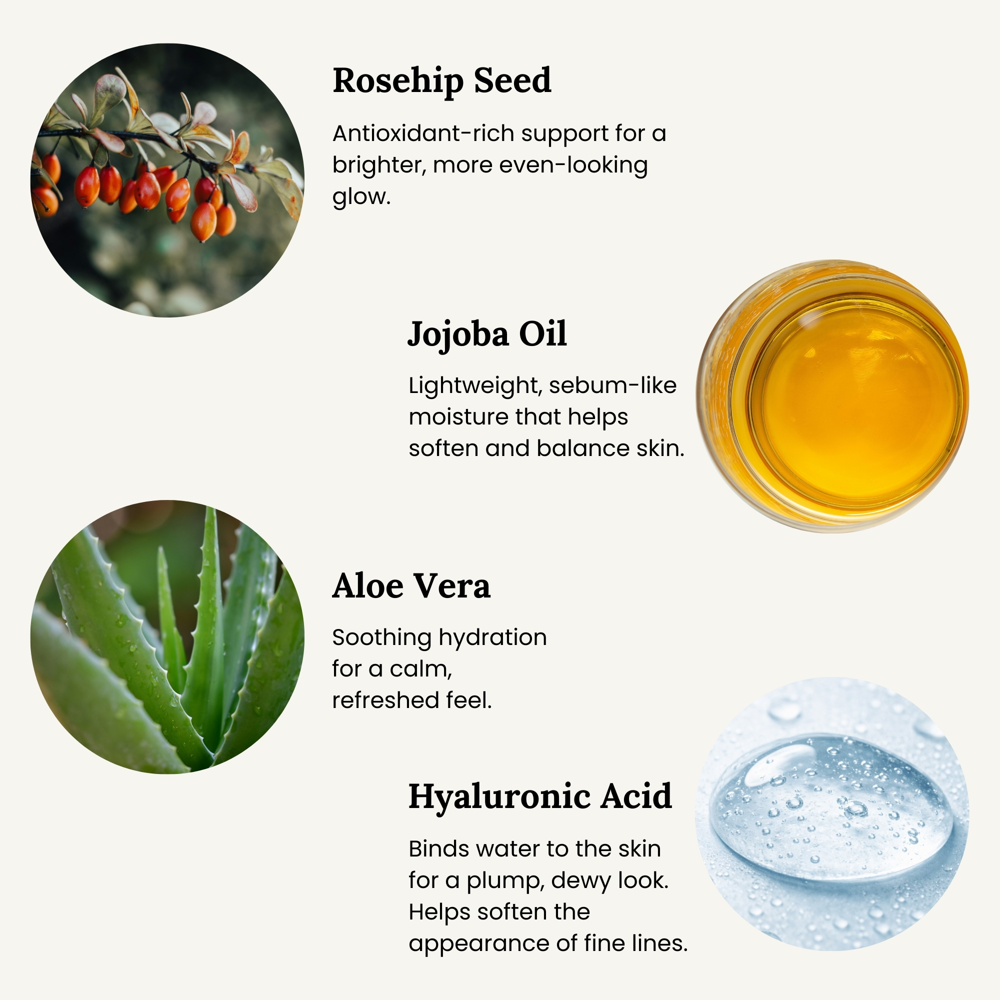 All Tree Roots hydrating Face Serum key ingredients graphic, rosehip oil, jojoba, aloe, and hyaluronic acid for glow support.