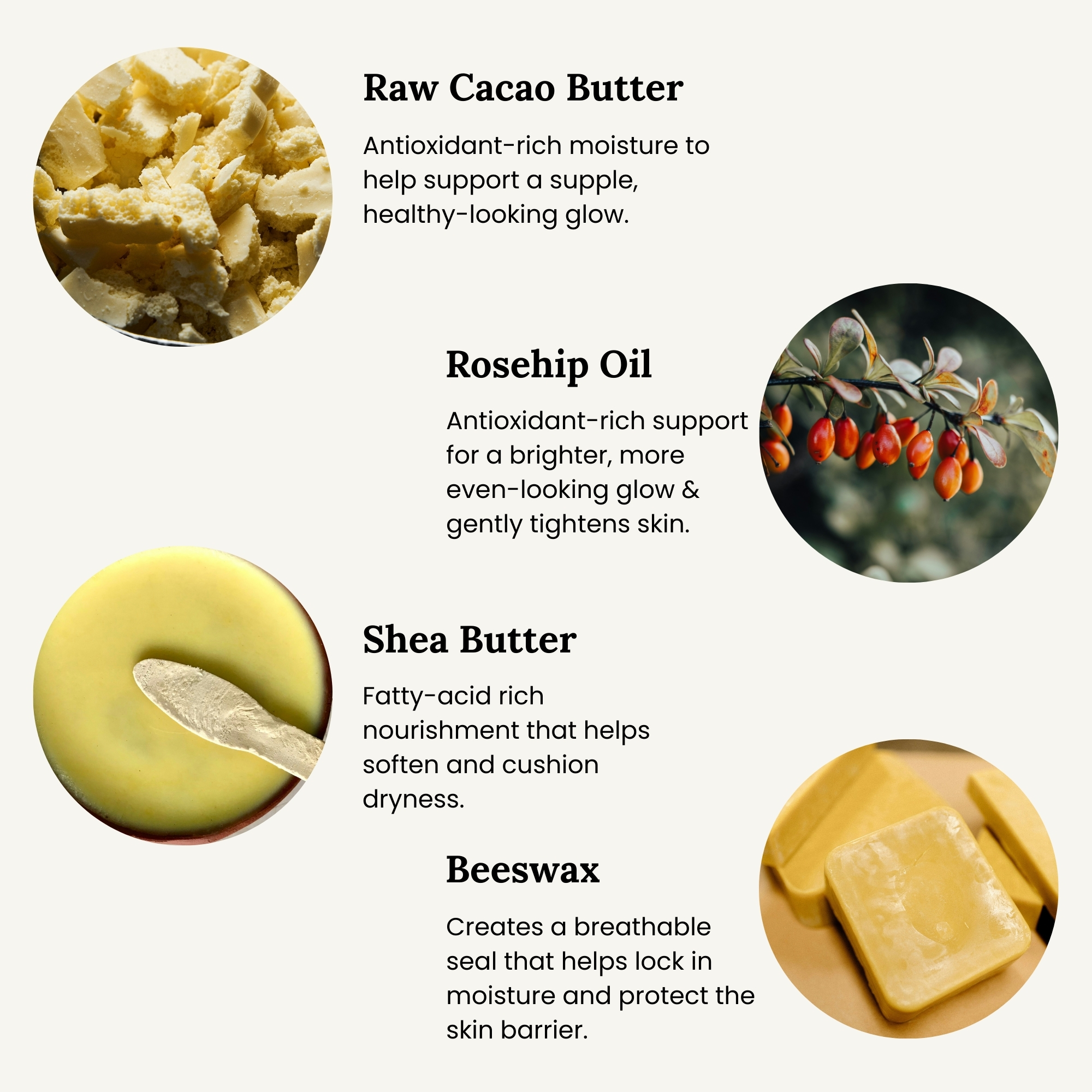 All Tree Roots Cacao Face Cream key botanicals — cacao butter, shea butter, rosehip seed oil, beeswax.