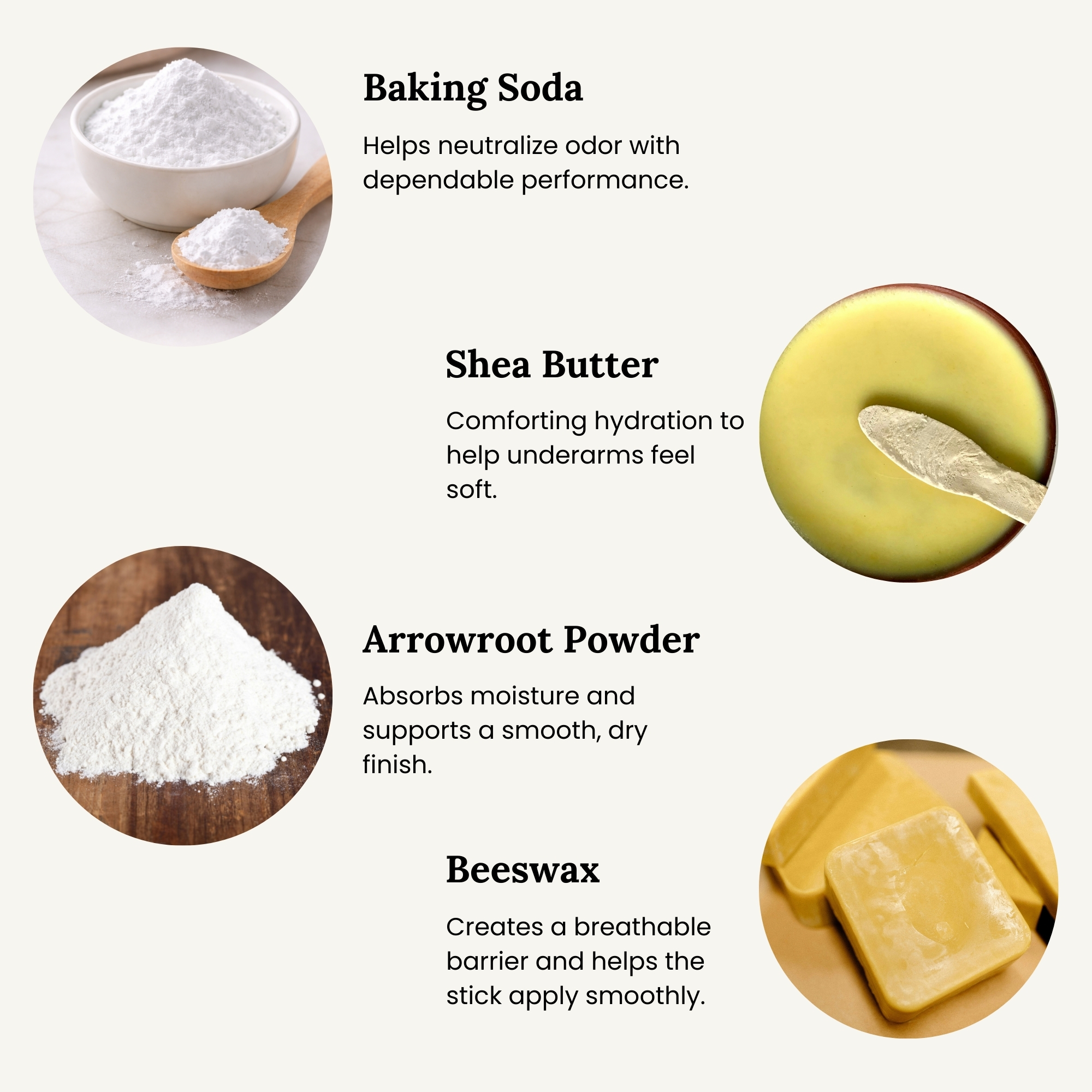 Key botanicals for All Tree Roots natural deodorant (baking soda, arrowroot, shea butter, beeswax) in a simple, neutral layout.
