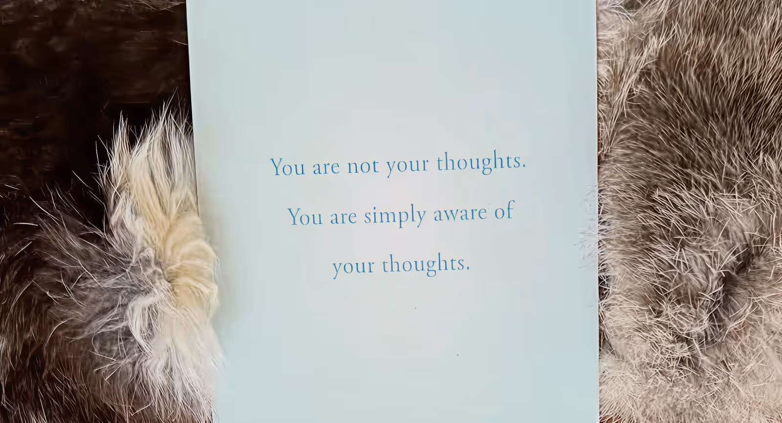 Close-up of an affirmation card reading “You are not your thoughts” placed between soft textured fabrics during a reflective wellness ritual.