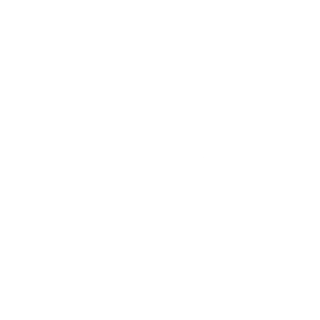 Online Car Auctions in Florida Dealer Auctions in Florida