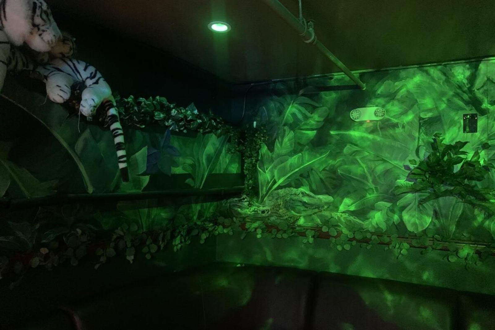 green-lit interior at Record Bar SF