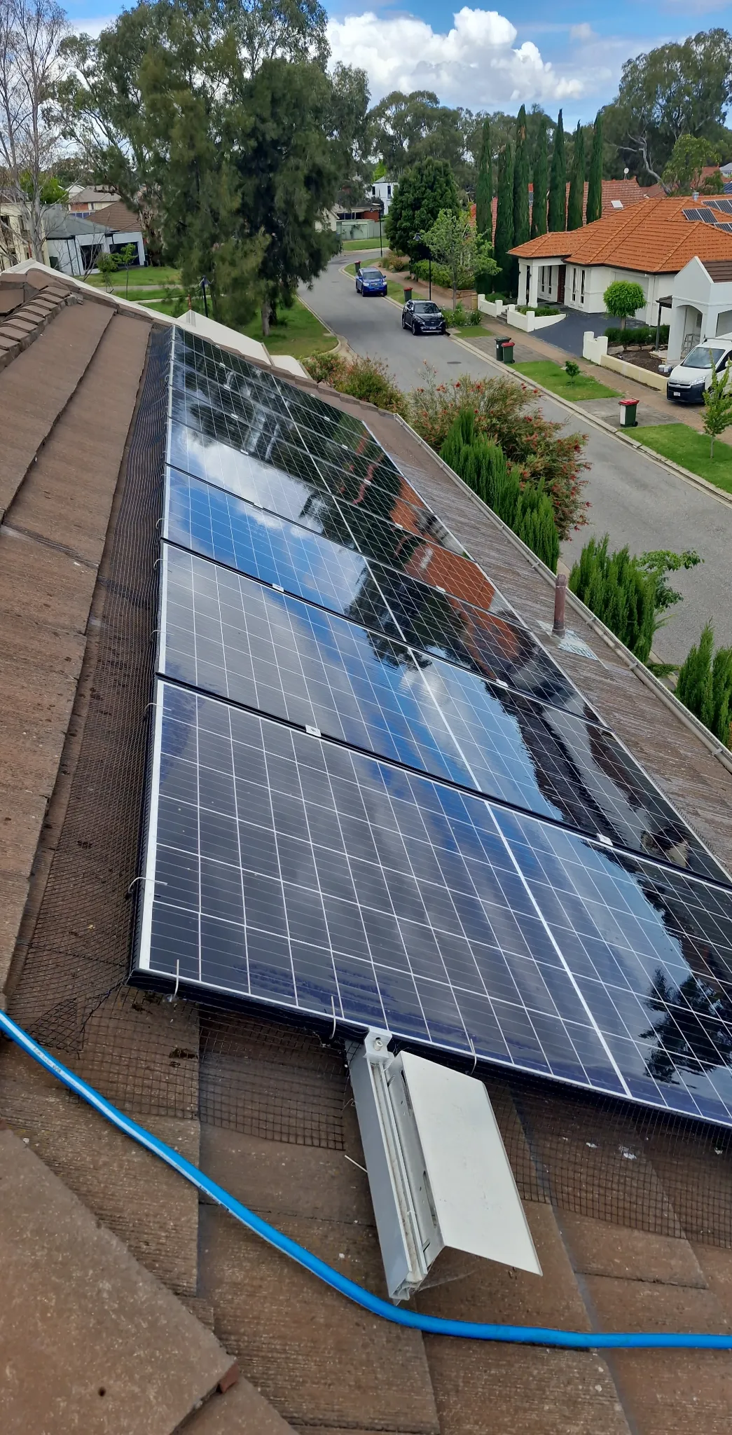 Mesh fitted around solar panels on a tiled roof.