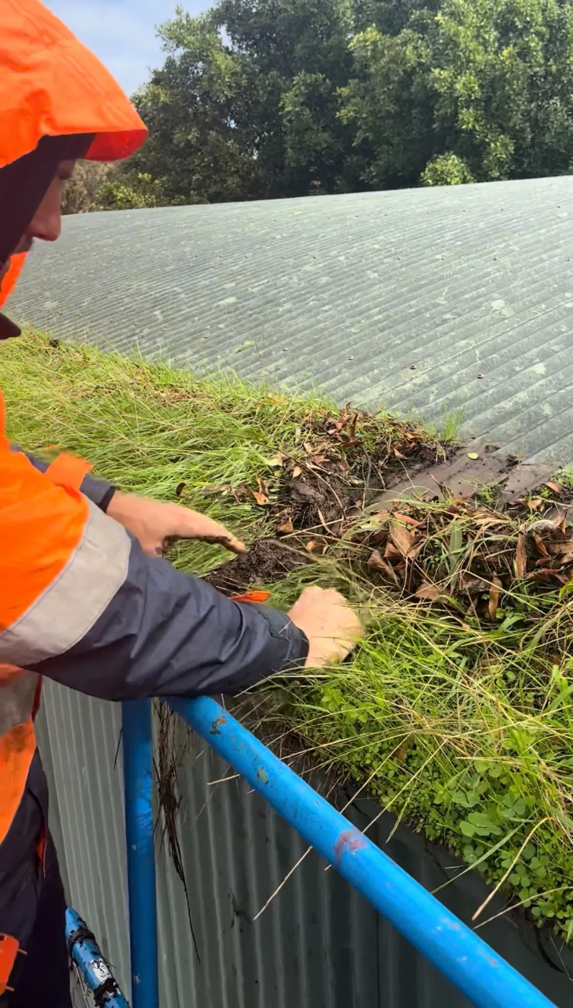 An AGCCO worker clearing thick grass, roots and soil from an overgrown gutter.