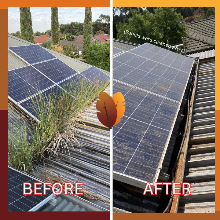 AGCCO before and after: tall vegetation beside solar panels and the roof channel after clearing.