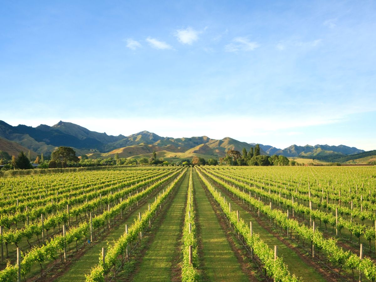 How to Build a Reliable Seasonal Workforce for Agriculture
