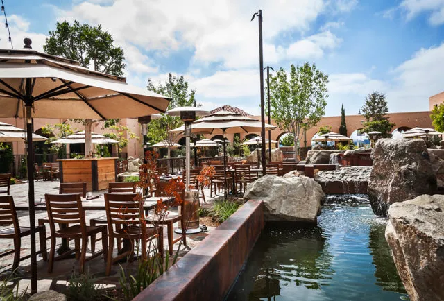 image of stone brewing