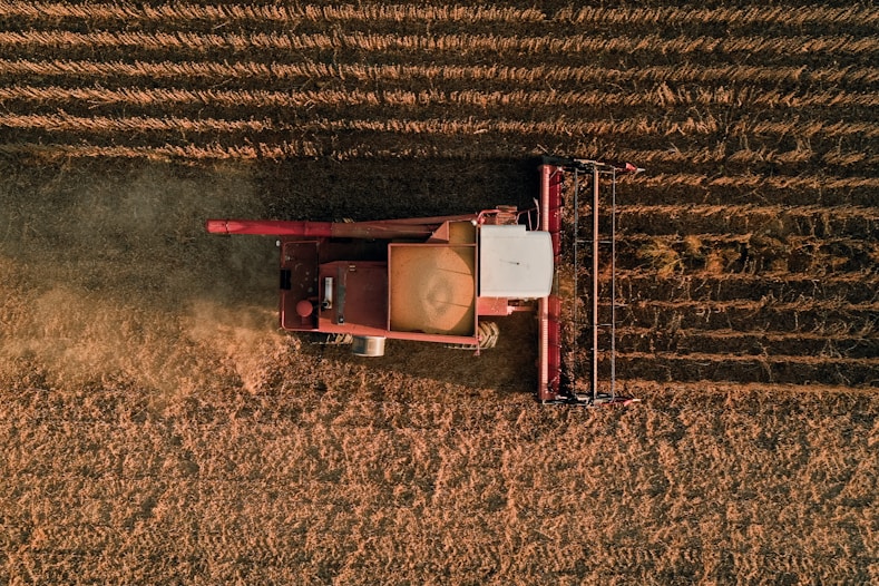 Industrial food production challenges and sustainability