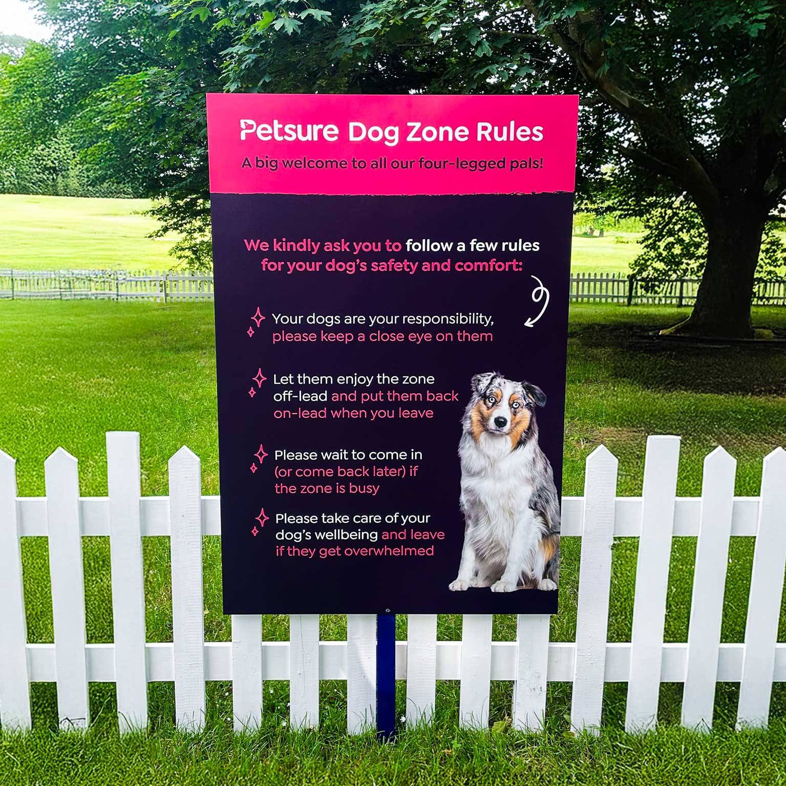 Petsure dog zone rules board with Australian Shepherd image and safety guidelines for owners.