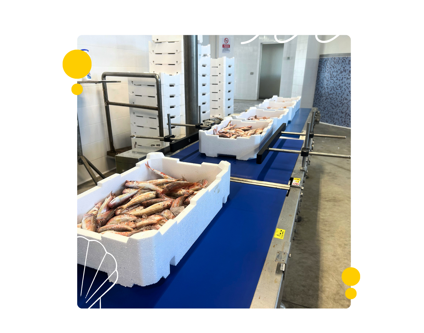 Livesignage Mittico Project sixth step