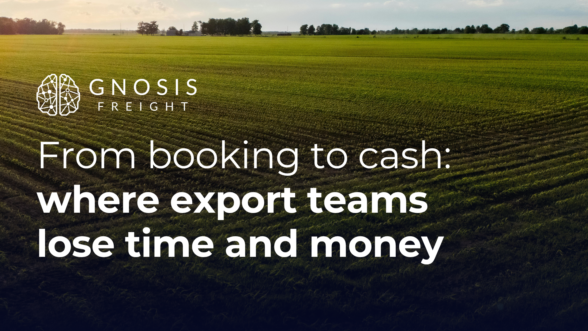 Gnosis Freight Success Story