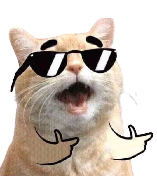Gato con gafas de manera graciosa