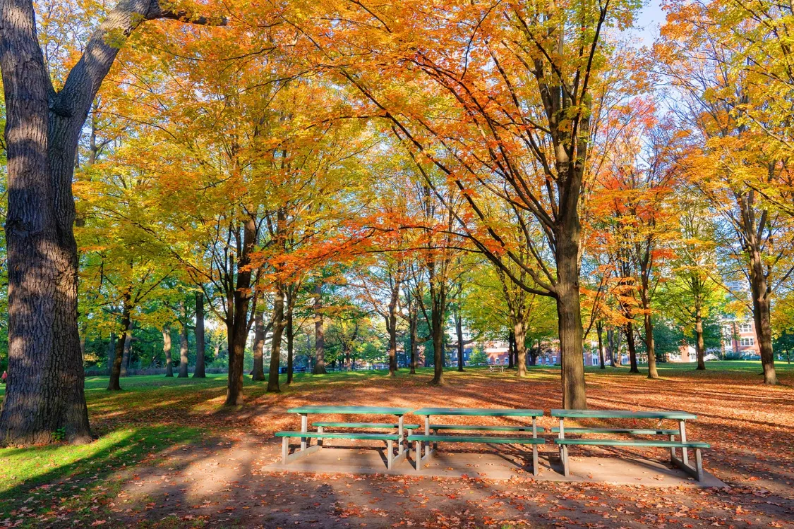 Silent disco setup at some of our favourite locations in Denver's Washington Park by Silent Disco Rentals. Explore the unique experience of hosting events with wireless headphones in these picturesque venues