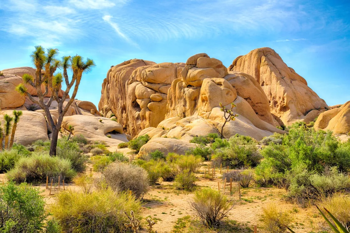 Denver Silent Disco Rentals - Your premier choice for Silent Disco Rentals in Denver. Elevate your experience at RiNo Art Park with Rent Silent Disco Headphones.