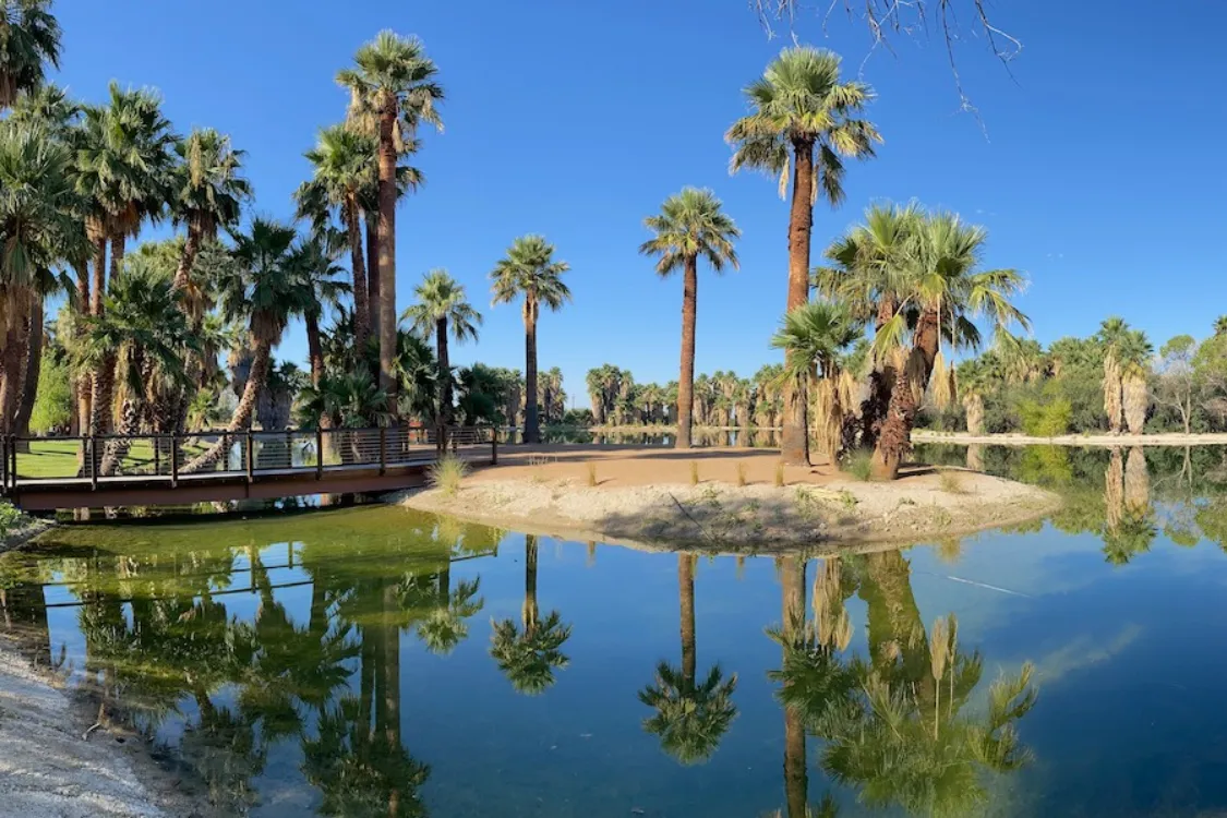 Silent disco setup at some of our favourite locations in Denver's Washington Park by Silent Disco Rentals. Explore the unique experience of hosting events with wireless headphones in these picturesque venues