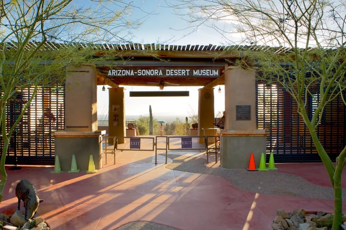 Denver Silent Disco Rentals - Your premier choice for Silent Disco Rentals in Denver. Elevate your experience at RiNo Art Park with Rent Silent Disco Headphones.