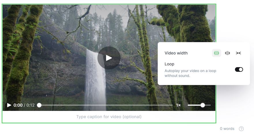 Video element