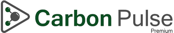 Carbon Pulse