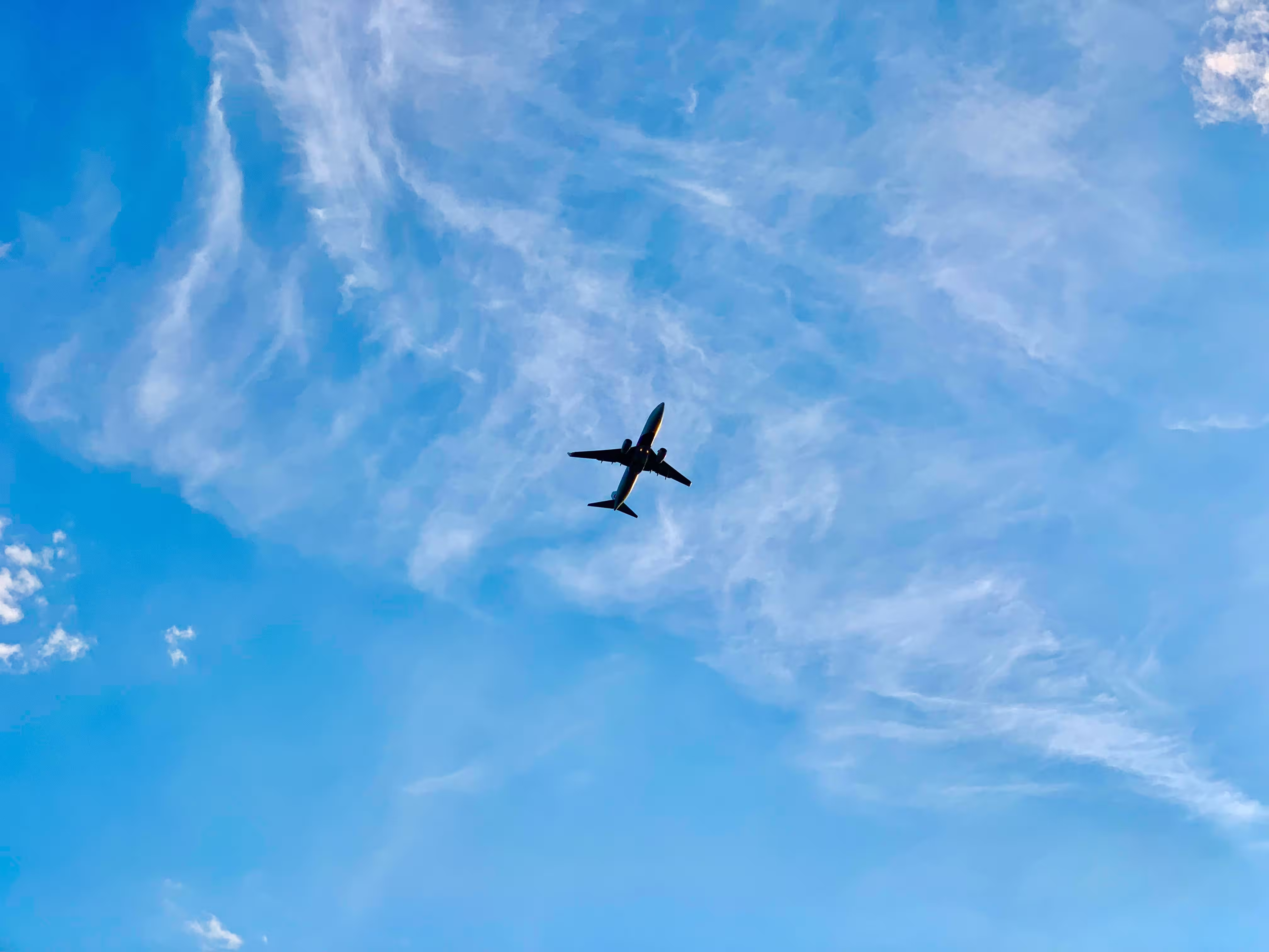 Voyages académiques et climat : CEPR s'associe à Homaio pour réduire son empreinte carbone