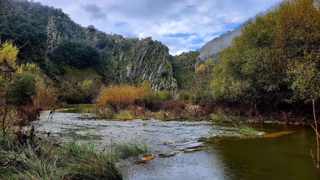 Otoño de postal en el parque nacional de Cabañeros