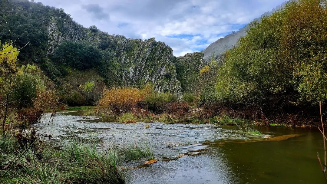 Otoño de postal en el parque nacional de Cabañeros