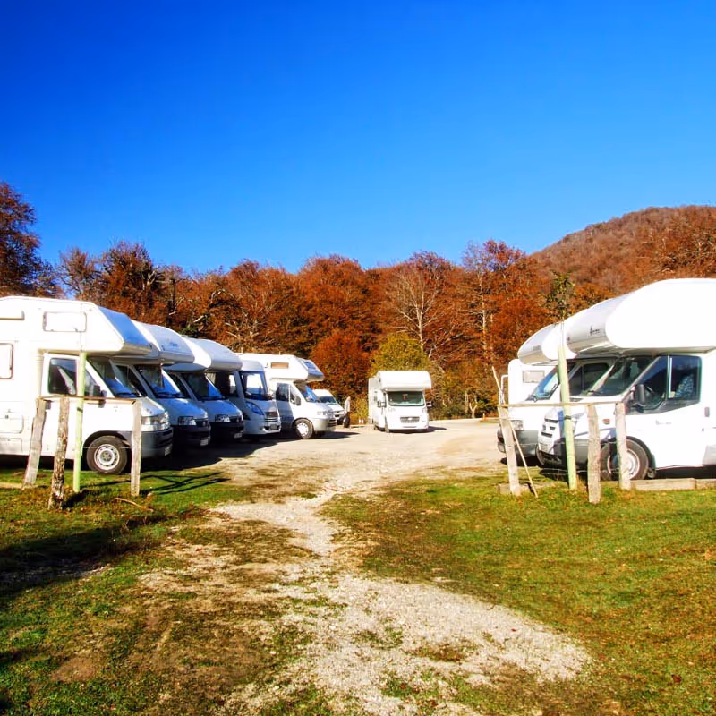 Bosques de cuento para viajar en otoño con tu autocaravana o camper | On Road Magazine