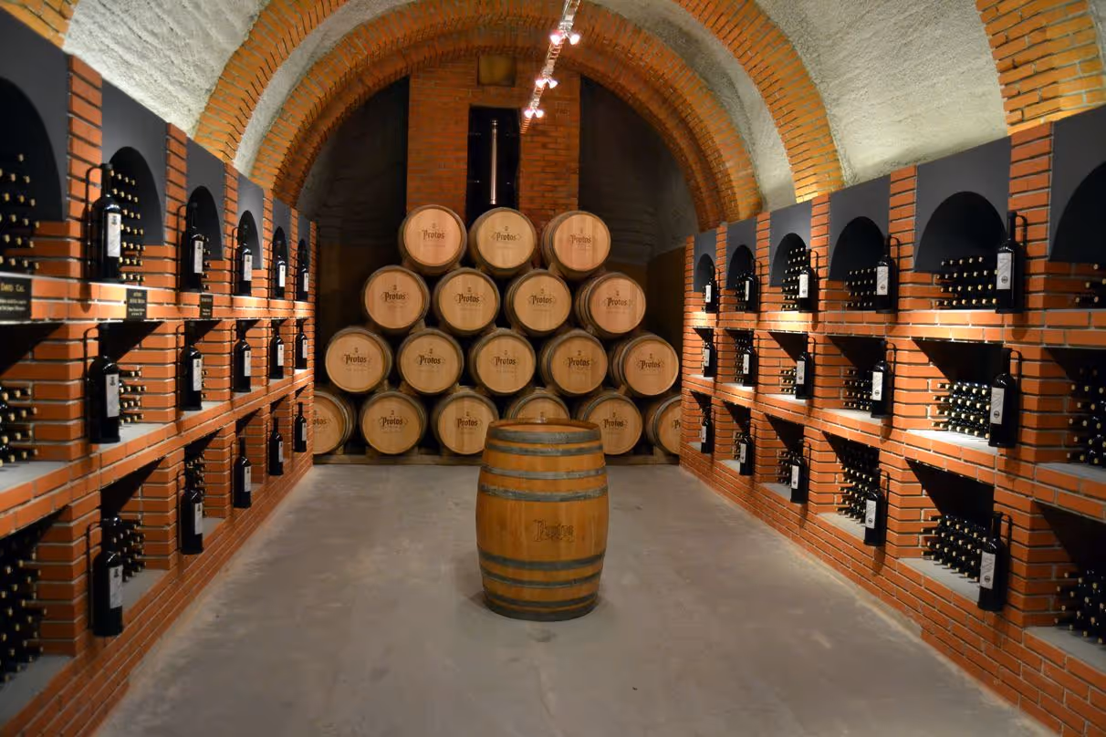 Bodegas Protos