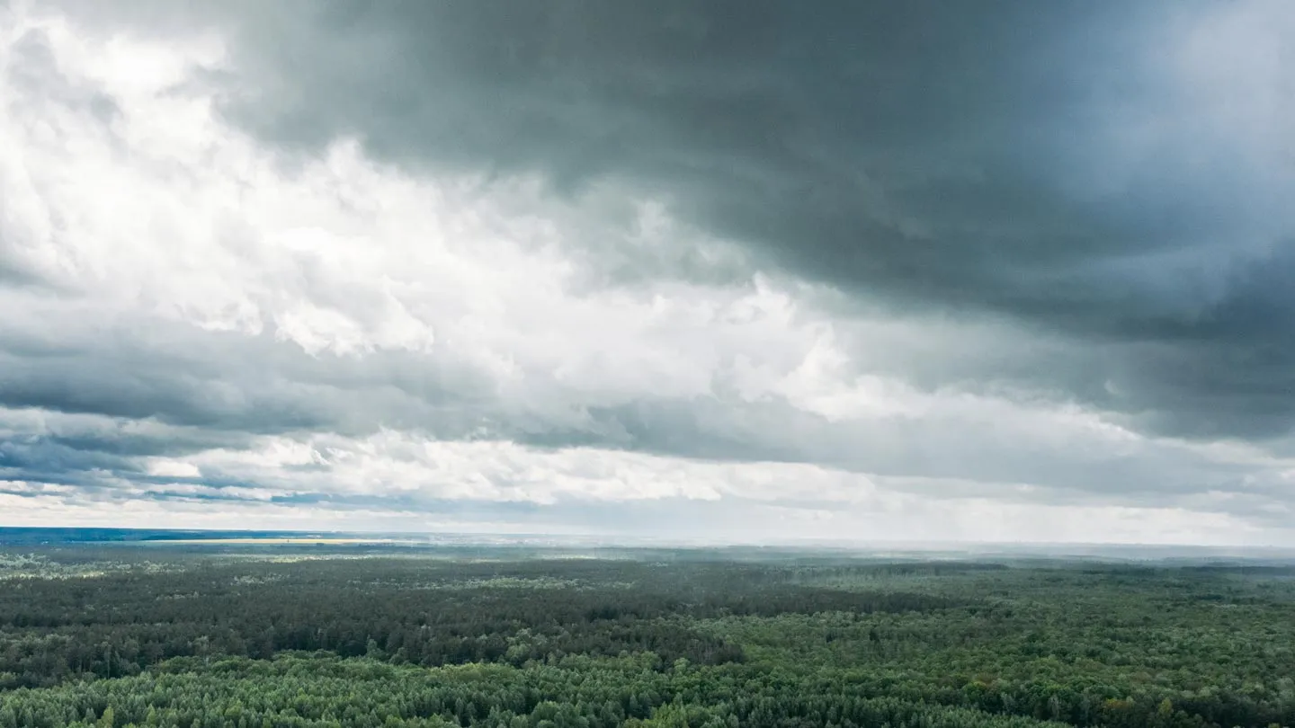 Sky with rain clouds over green forest