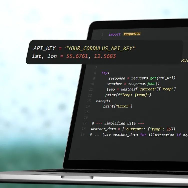 Weather data API displaying source code to acquire local weather data