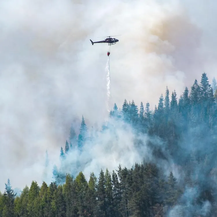 Firefighting helicopter dropping water on a wild forest fire