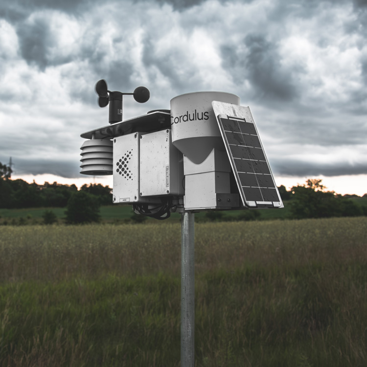 Een Cordulus-weerstation gemonteerd op een paal in een grasveld, met een bewolkte lucht op de achtergrond.